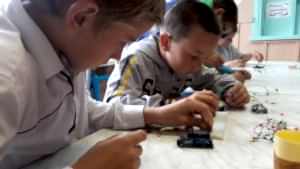 Занятия кружка Зеленых роботов