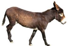 Условия if и else в Arduino arduino if else